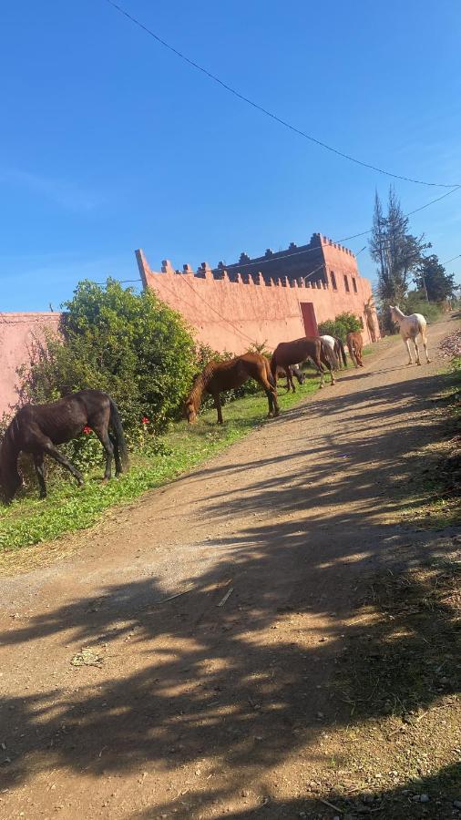 Gite Touristique Yassmine Madagh Exteriér fotografie